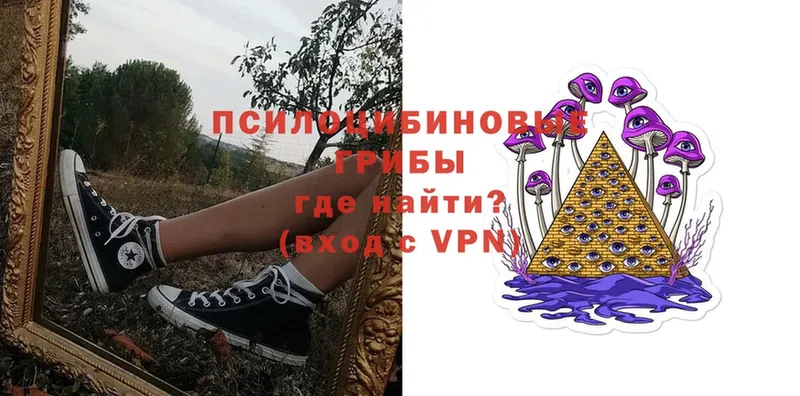 darknet Telegram  Болгар  Галлюциногенные грибы Cubensis 